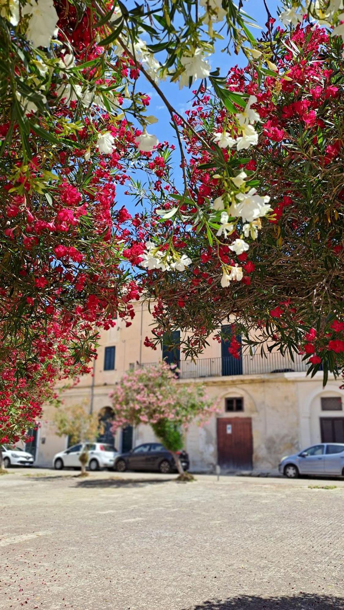 Mayu'S House , Dimora Nel Centro Storico Di เลชเช ภายนอก รูปภาพ